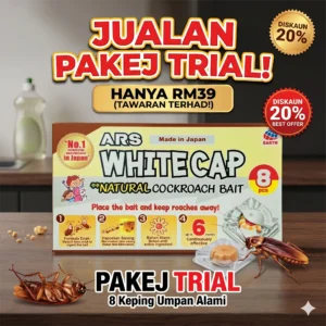 Pakej Trial